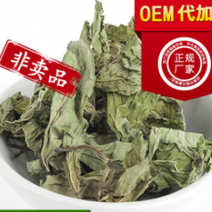 锦天康薄荷茶